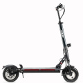 10-Zoll 600W 800W faltbare Elektromutrücker Zweirad Easy Ride E-Scooter